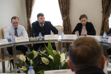 Анна Кузнецова обсудила вопросы вывоза детей из зон боевых действий в условиях пандемии коронавируса