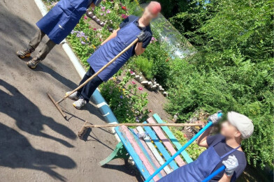 Трудоустройство детей-инвалидов в Омской области