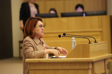 «В 2024 году рассмотрено 3188 обращений граждан»: Надежда Болтенко представила Ежегодный доклад о результатах работы Законодательному Собранию НСО