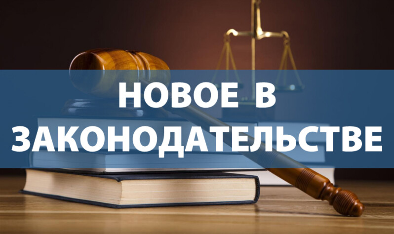 ДЕТСКИЕ ПОСОБИЯ В НЕСТАНДАРТНЫХ СИТУАЦИЯХ